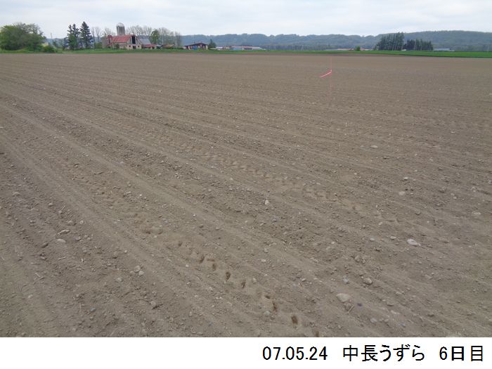 中長の畑の写真2